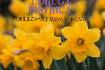 Yellow Green Modern Photo Flowers Hello Spring Facebook Post Yellow Green Modern Photo Flowers Hello Spring Facebook Post