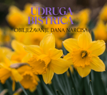 Yellow Green Modern Photo Flowers Hello Spring Facebook Post 360x320