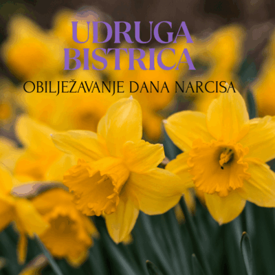 Yellow Green Modern Photo Flowers Hello Spring Facebook Post Yellow Green Modern Photo Flowers Hello Spring Facebook Post