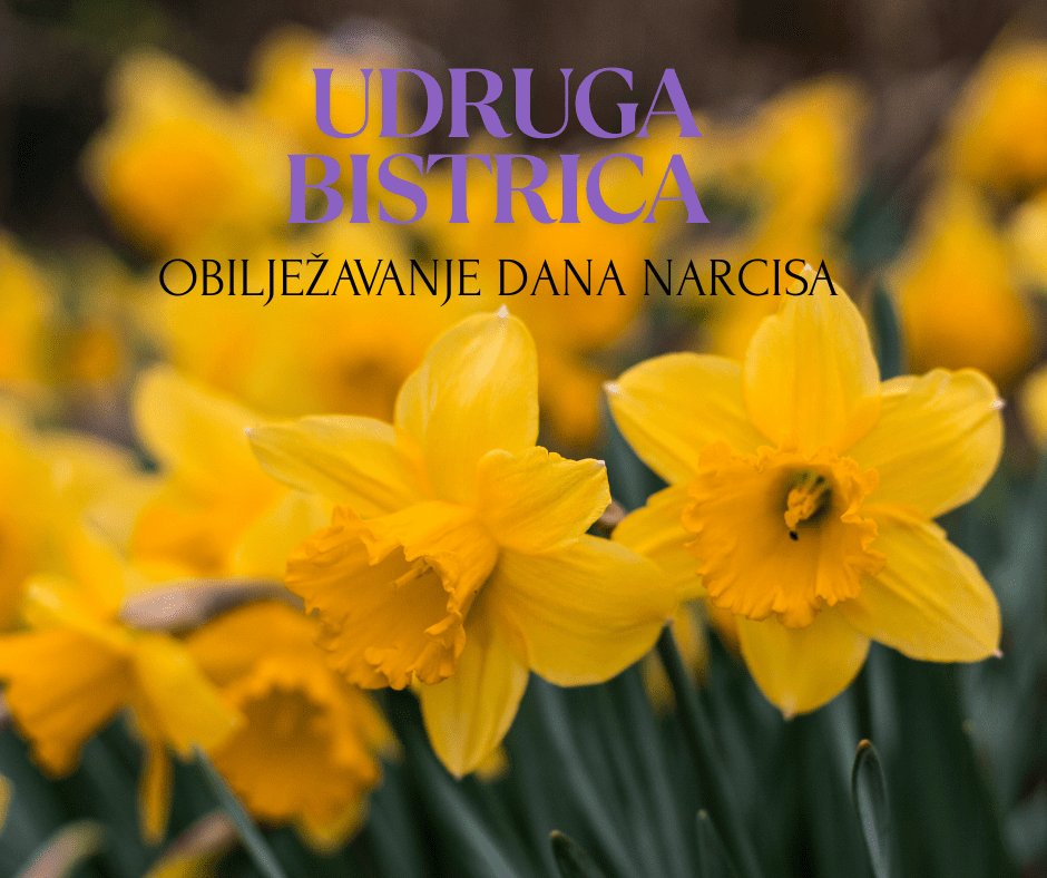 Yellow Green Modern Photo Flowers Hello Spring Facebook Post