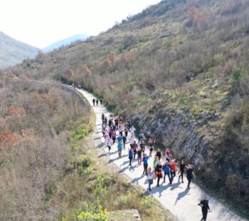 a24b2f50180f54fce002 a24b2f50180f54fce002