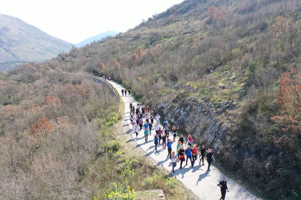 A24b2f50180f54fce002