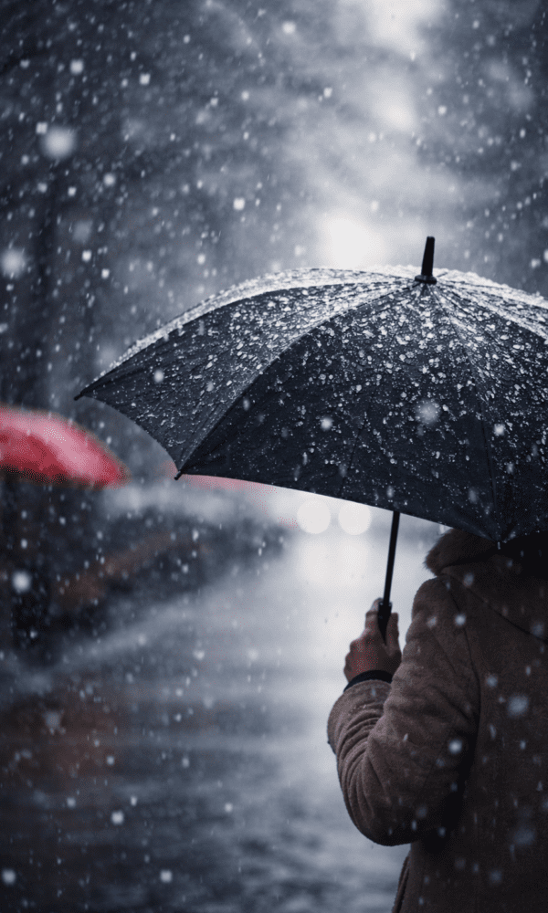 E3ac4d69 3808 4d10 a6d7 a5ca02b5b6d5 600x1000