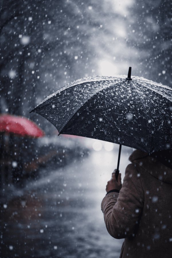 E3ac4d69 3808 4d10 a6d7 a5ca02b5b6d5