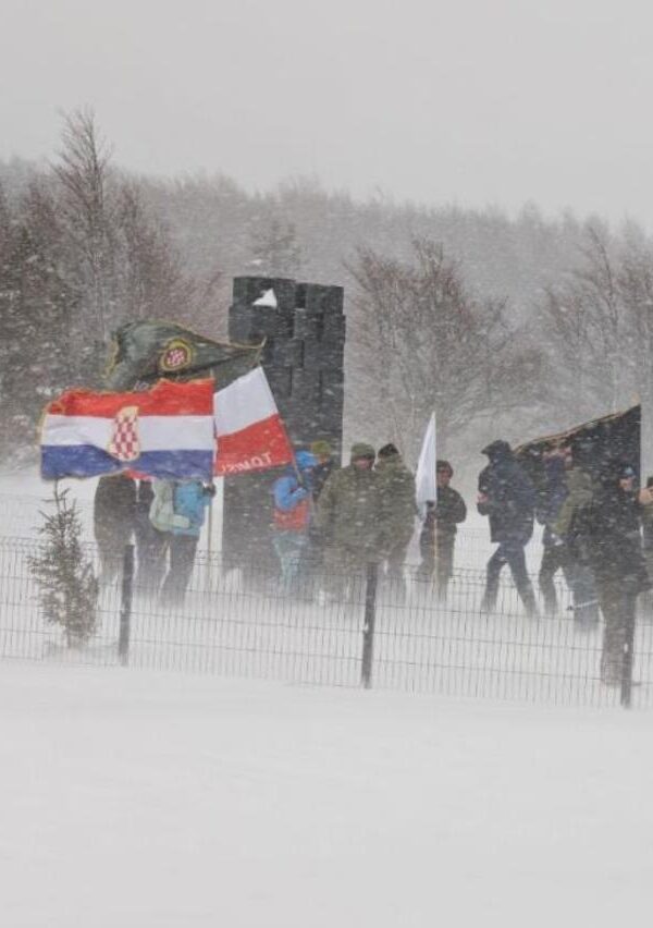 E3c80171154ab77e9519 600x852