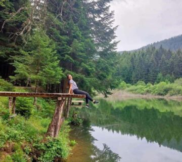 54ac36f9 5b5b 4aaf b115 3fae6fb24f9a 360x320