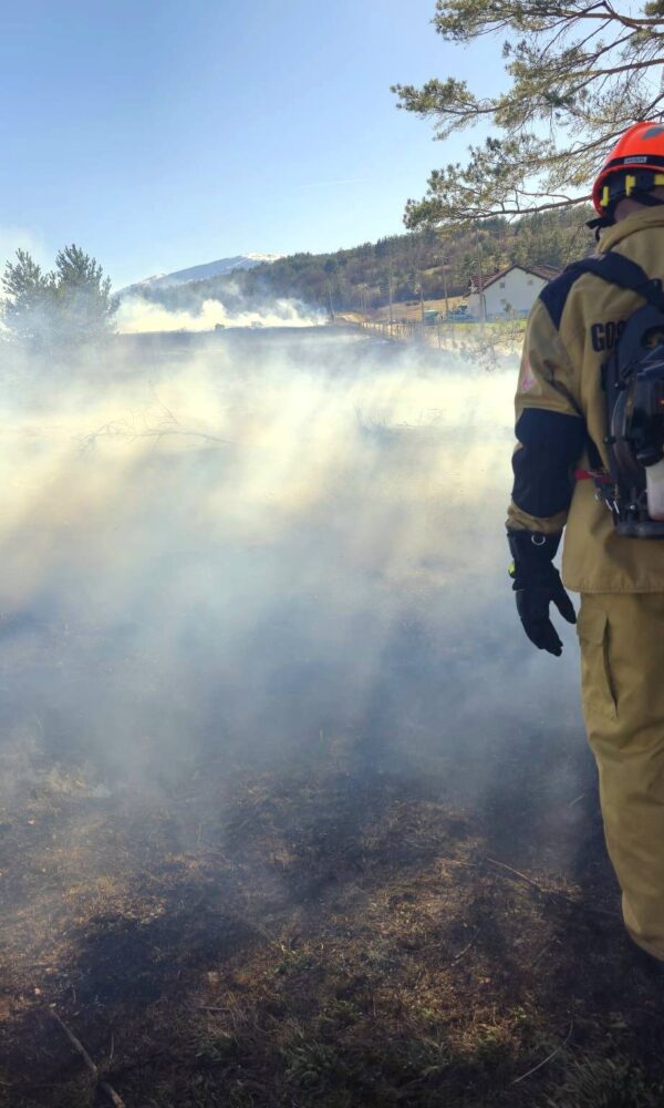 667508910 943376988663197 6288194625947393447 n 600x1000