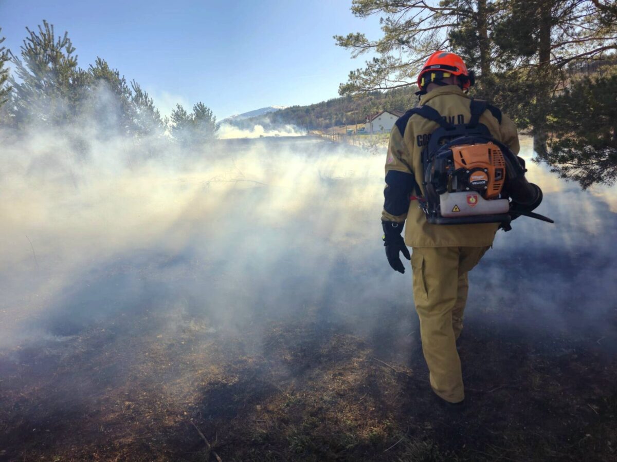 667508910 943376988663197 6288194625947393447 n scaled