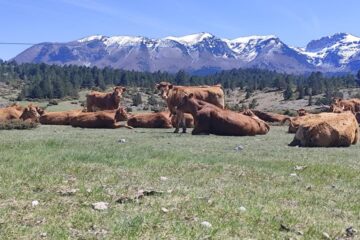 677569795_2449507005473753_6280497889944579031_n