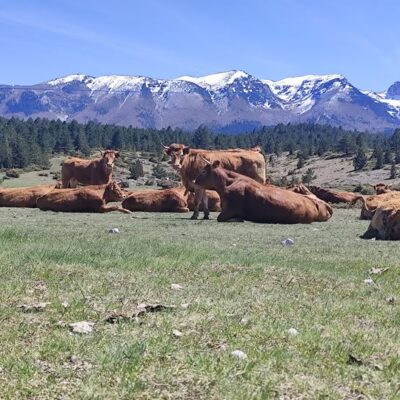 677569795_2449507005473753_6280497889944579031_n