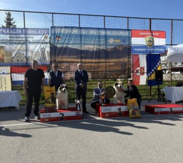 680377267 1625243616271192 8209441984980950144 n 360x320