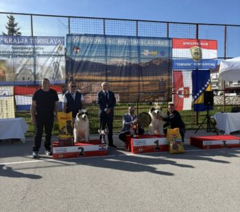 680377267_1625243616271192_8209441984980950144_n