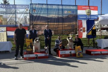 680377267_1625243616271192_8209441984980950144_n