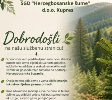 683489300 122099523092348136 2537215984004720999 n 360x320