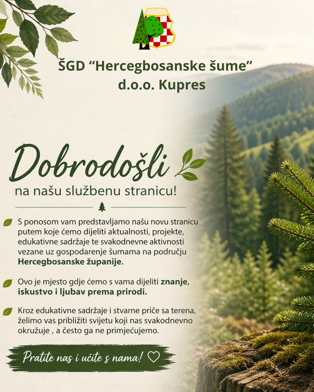 683489300 122099523092348136 2537215984004720999 n