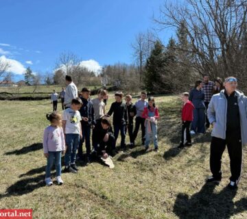 6bfd16b0dd2c8eadb41e5eda76288625 360x320