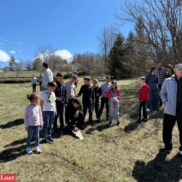 6bfd16b0dd2c8eadb41e5eda76288625