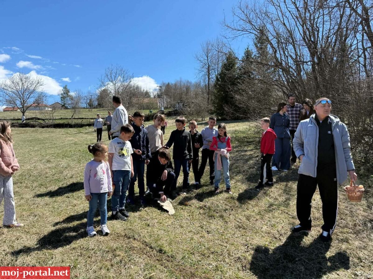 6bfd16b0dd2c8eadb41e5eda76288625