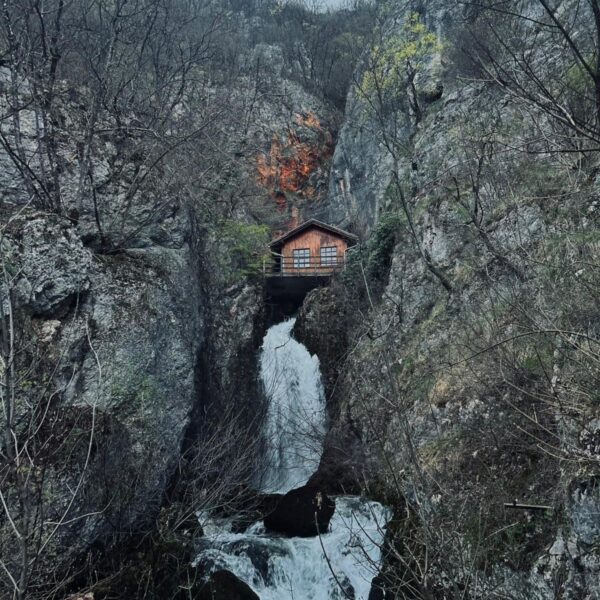 WhatsApp Image 2026 04 10 at 12 31 03 (1)