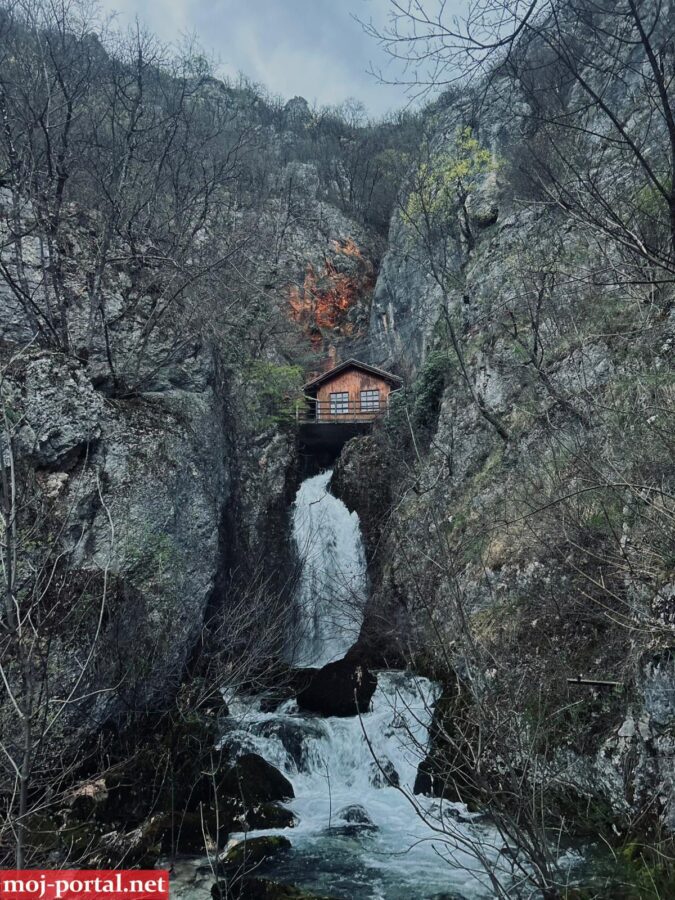 WhatsApp Image 2026 04 10 at 12 31 03 1