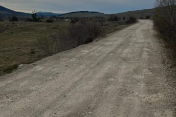 WhatsApp Image 2026-04-11 at 10.50.16 (1)