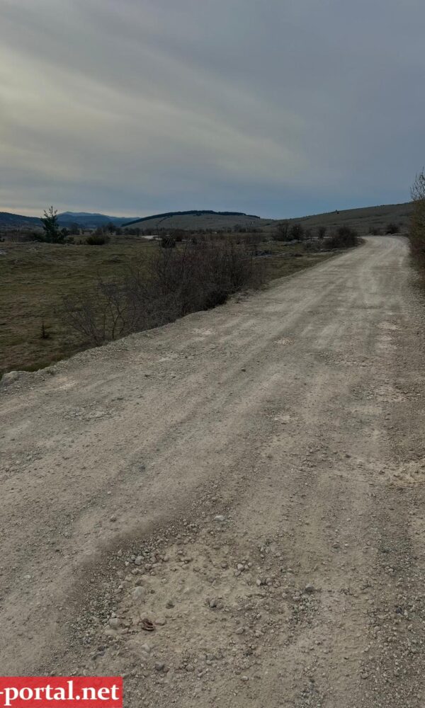 WhatsApp Image 2026 04 11 at 10 50 16 1 1 600x1000