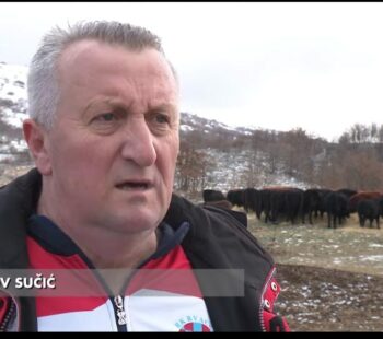 WhatsApp Image 2026-04-11 at 12.43.21