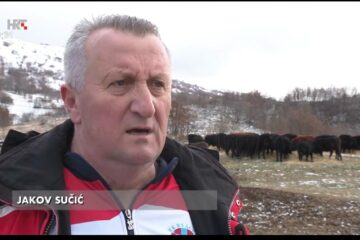 WhatsApp Image 2026-04-11 at 12.43.21