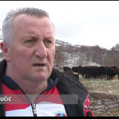 WhatsApp Image 2026-04-11 at 12.43.21