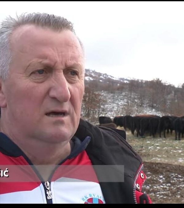 WhatsApp Image 2026 04 11 at 12 43 21 600x676