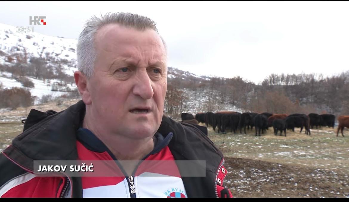 WhatsApp Image 2026 04 11 at 12 43 21