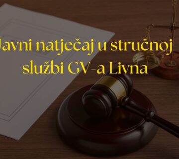 Yellow and Brown Corporate Lawyer Presentation 360x320