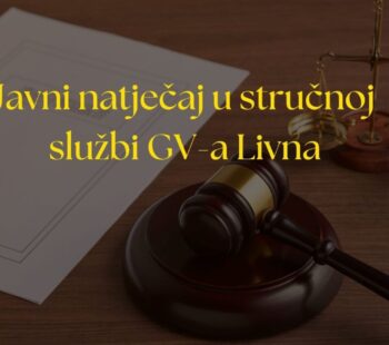 Yellow and Brown Corporate Lawyer Presentation