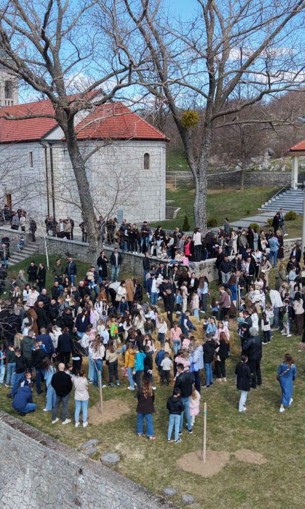 Dji fly 20260405 120820 0097 1775387772859 photo 600x1000