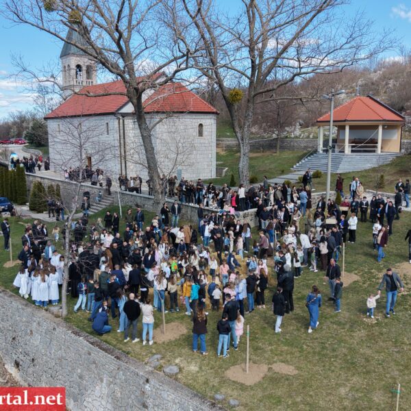 Dji fly 20260405 120820 0097 1775387772859 photo 600x600