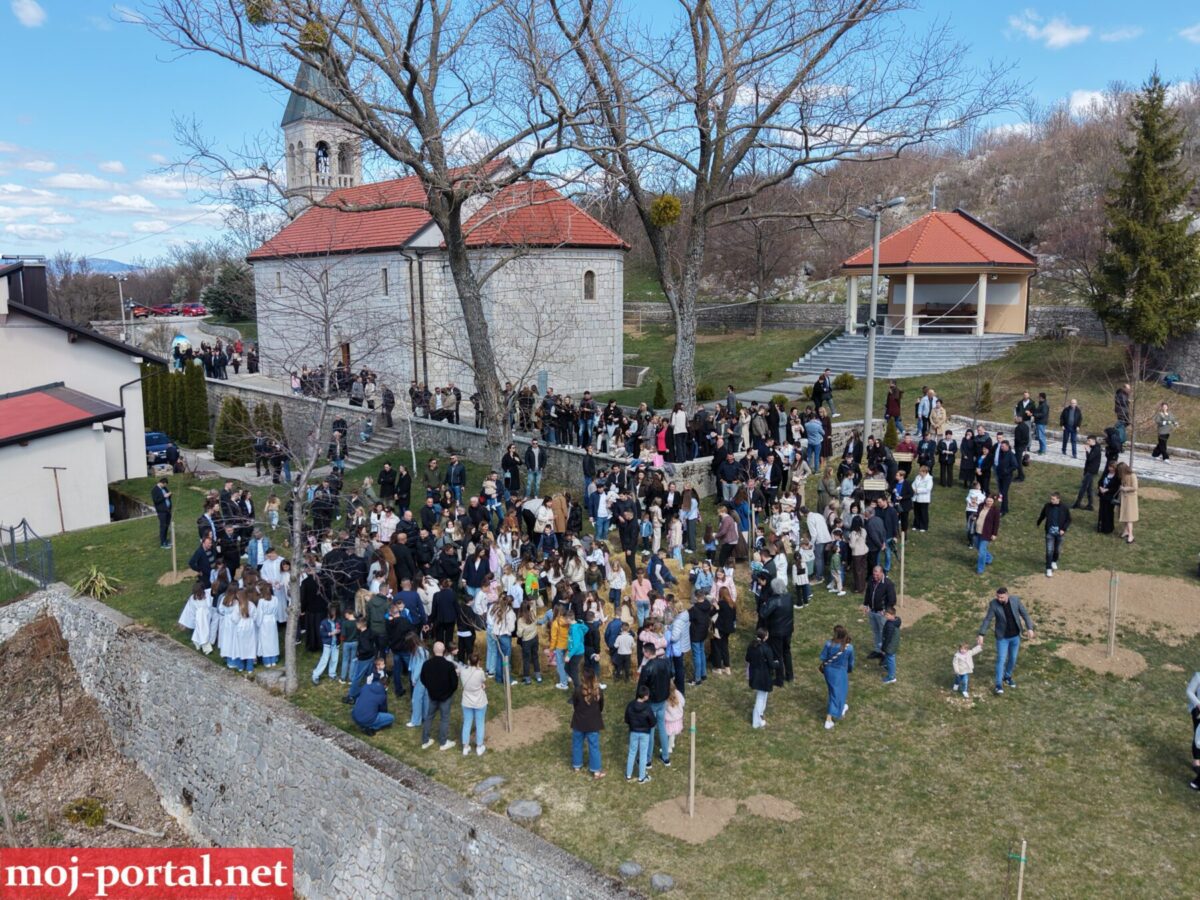 Dji fly 20260405 120820 0097 1775387772859 photo scaled