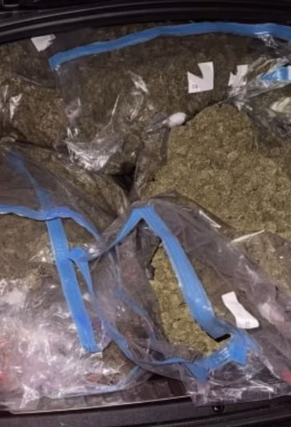 Marihuana 1 webp 600x880