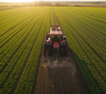 polje i traktor sadi polje i traktor sadi