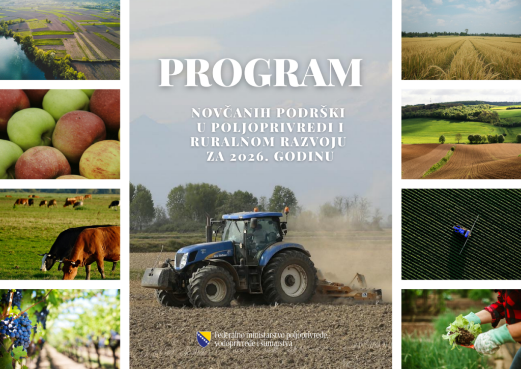 Program 2026