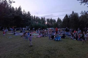 IMG_8413 IMG_8413