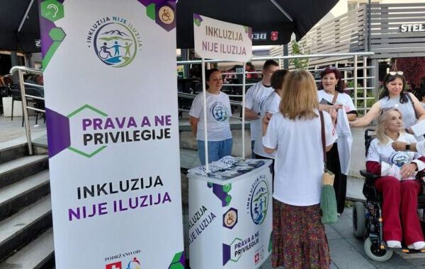 Inkluzija 600x381
