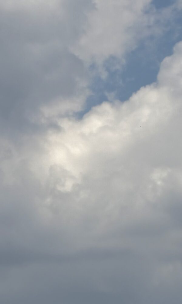IMG 8638 1 600x1000