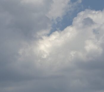 IMG_8638 IMG_8638