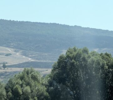 IMG 9006 360x320