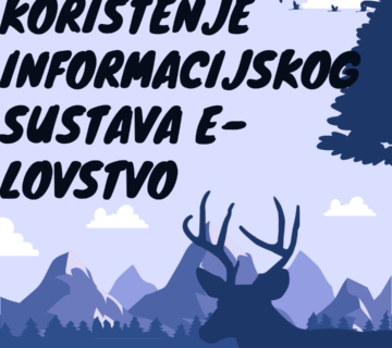 Blue Illustrative Wildlife Discovery Carousel Instagram Post 360x320
