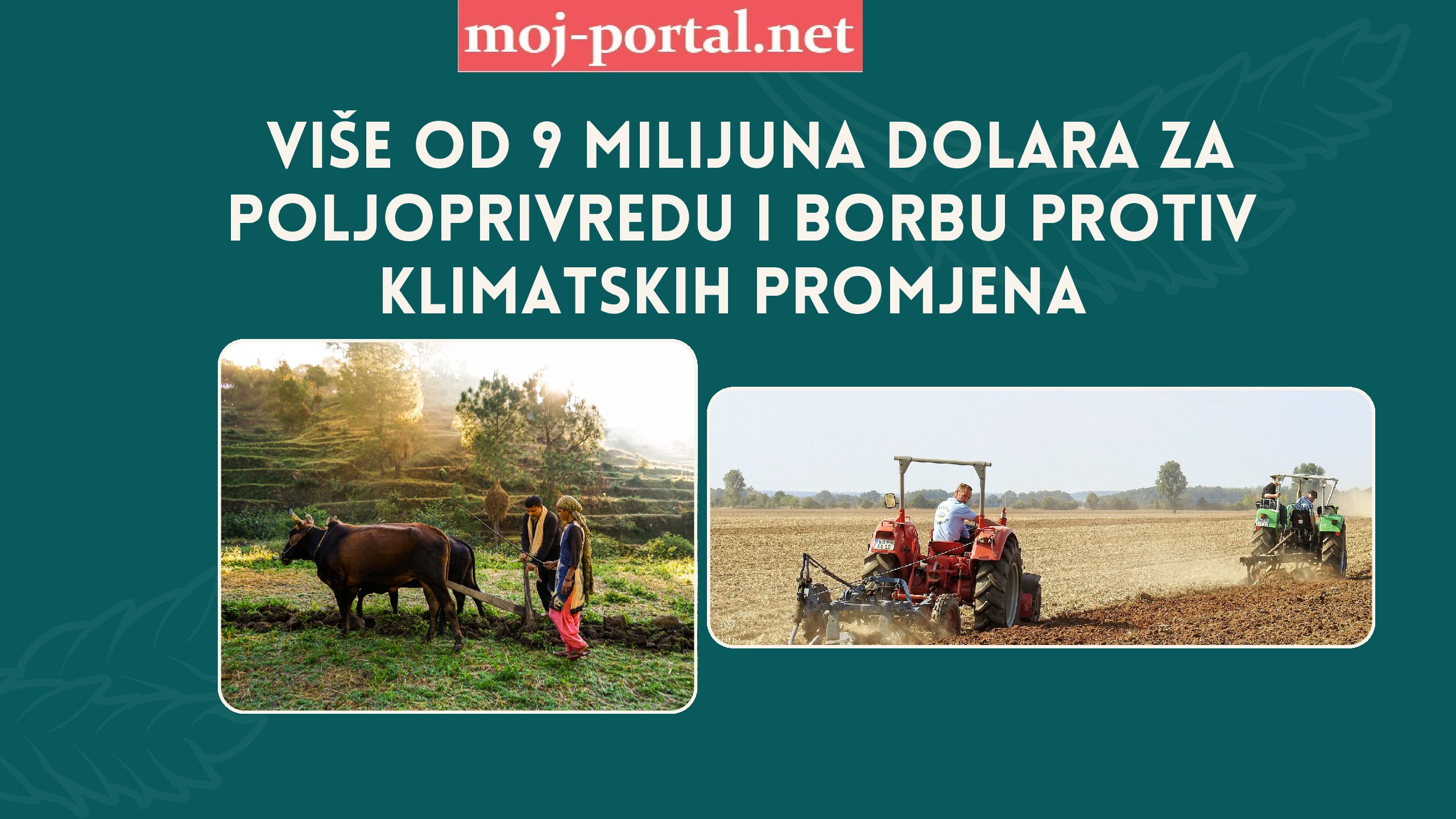 Cream and Green Modern Agriculture Presentation pdf