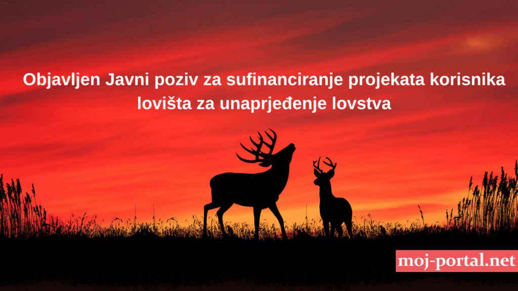 Red and Black Silhouette Deer Desktop Wallpaper