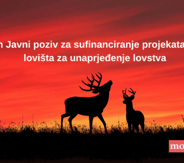 Red and Black Silhouette Deer Desktop Wallpaper 360x320