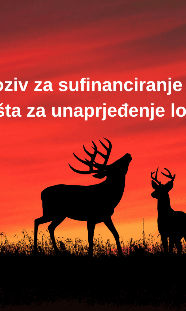 Red and Black Silhouette Deer Desktop Wallpaper 600x1000