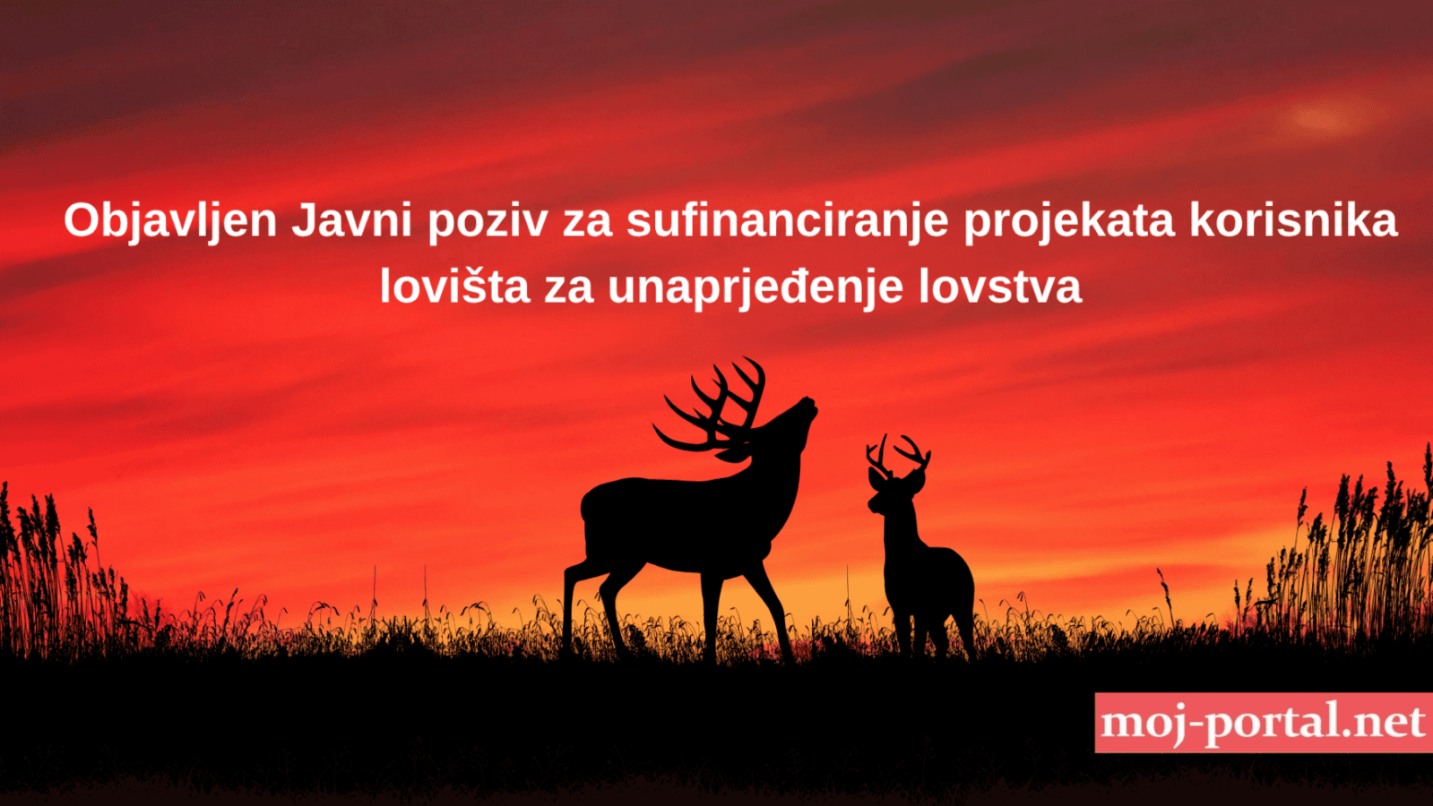 Red and Black Silhouette Deer Desktop Wallpaper scaled